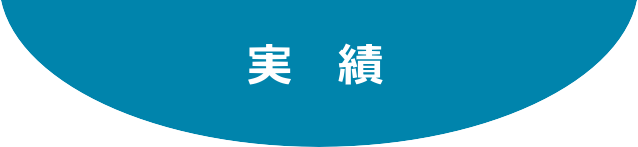 実績