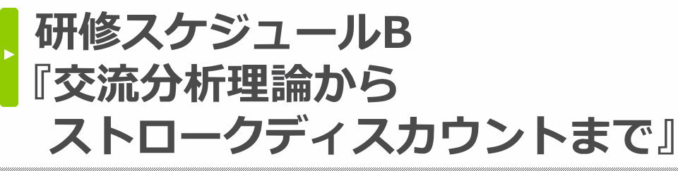 研修スケジュールB・『交流分析理論からストロークディスカウントまで』